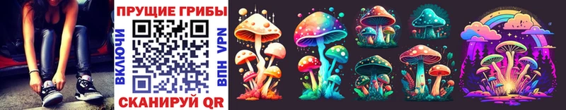 Псилоцибиновые грибы MAGIC MUSHROOMS  Шлиссельбург 